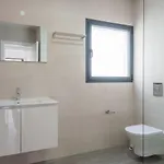 Da Arrifana *